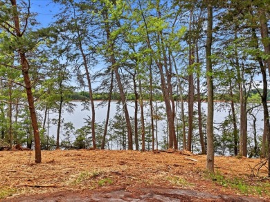 Spectacular Cherokee Lakefront Lot - photo 3