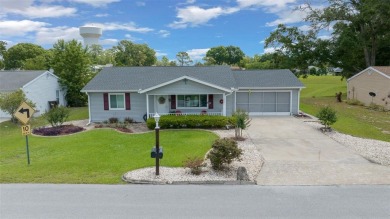 (private lake, pond, creek) Home For Sale in Ocala Florida