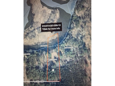 Lake Lot For Sale in Beaverton, Michigan