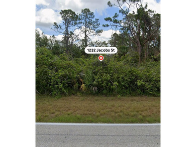 Build your dream home on this exceptional 0.54-acre oversized - photo 2