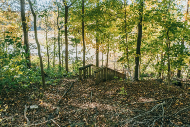 Waterfront cabin in the woods, gazebo, fire pit & dock! - photo 23