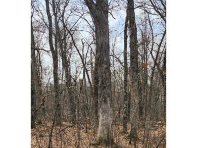 Lake Arrowhead Lot For Sale in Nekoosa Wisconsin