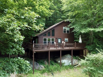 Waterfront cabin in the woods, gazebo, fire pit & dock! - photo 18