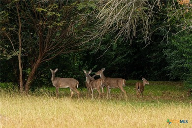 (private lake, pond, creek) Acreage For Sale in Eddy Texas