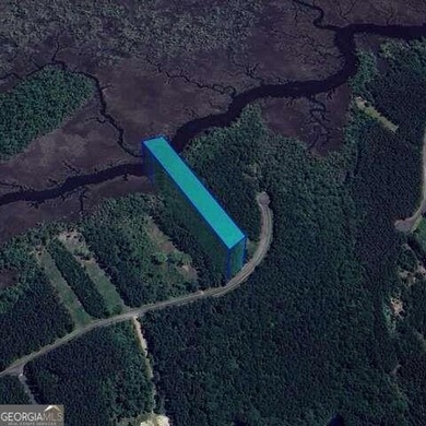 (private lake, pond, coastal) Lot For Sale in Waverly Georgia