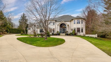 Situated on a beautiful private cul-de-sac in Moreland Hills - photo 1