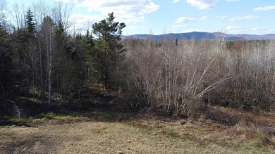 (private lake, pond, creek) Acreage For Sale in Brighton Vermont