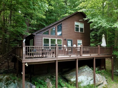 Waterfront cabin in the woods, gazebo, fire pit & dock! - photo 1