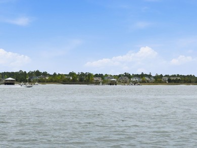 Set along the scenic banks of the Wando River, 222 Port Tack - photo 44