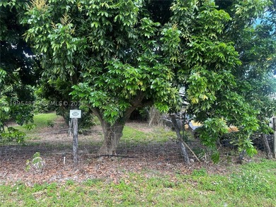 15.6 ACRE LONGAN GROVE, MATURE TREES, FULLY FENCED AND GATED - photo 2
