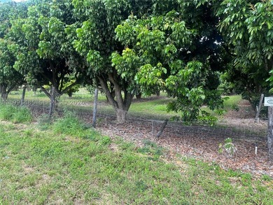 15.6 ACRE LONGAN GROVE, MATURE TREES, FULLY FENCED AND GATED - photo 3