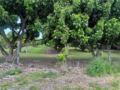 15.6 ACRE LONGAN GROVE, MATURE TREES, FULLY FENCED AND GATED - photo 4