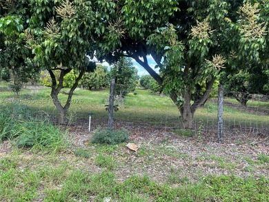 15.6 ACRE LONGAN GROVE, MATURE TREES, FULLY FENCED AND GATED - photo 5