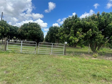 15.6 ACRE LONGAN GROVE, MATURE TREES, FULLY FENCED AND GATED - photo 6