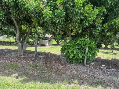 15.6 ACRE LONGAN GROVE, MATURE TREES, FULLY FENCED AND GATED - photo 9
