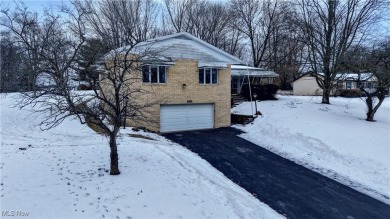 Lake Home For Sale in Negley, Ohio