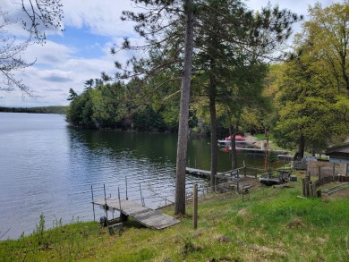 Pickerel Lake - Forest & Langlade County Home For Sale in  Wisconsin