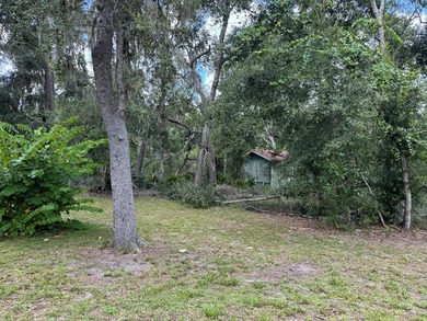 Suwannee River Acreage For Sale in Old Town Florida