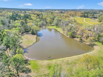(private lake, pond, creek) Home For Sale in Lindale Texas