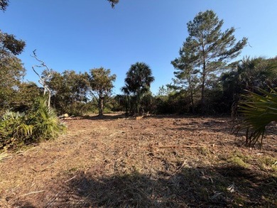 ALL NEW PHOTOS SHOWING CLEARED BUILDING AREA! COUNTY WATER - photo 1
