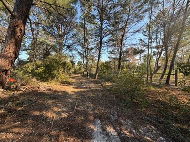 ALL NEW PHOTOS SHOWING CLEARED BUILDING AREA! COUNTY WATER - photo 4