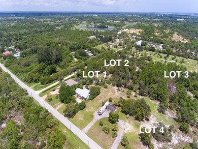 ALL NEW PHOTOS SHOWING CLEARED BUILDING AREA! COUNTY WATER - photo 5
