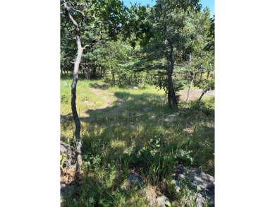 BIG VIEWS FROM THIS LOT OF BOTH THE CITY AND MOUNTAINS! GATED - photo 1