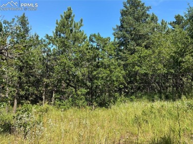 BIG VIEWS FROM THIS LOT OF BOTH THE CITY AND MOUNTAINS! GATED - photo 3