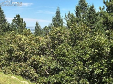 BIG VIEWS FROM THIS LOT OF BOTH THE CITY AND MOUNTAINS! GATED - photo 4