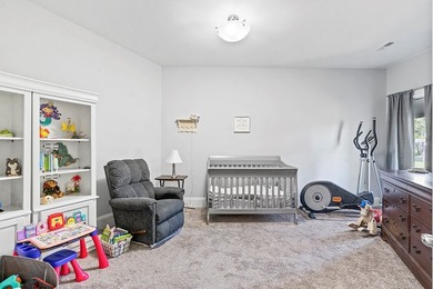Welcome to lakefront living at its finest! This unrestricted - photo 13