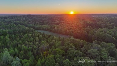 This 51+/- acre property in Hinds County offers a well-rounded - photo 2