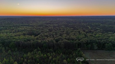 This 51+/- acre property in Hinds County offers a well-rounded - photo 3