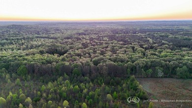 This 51+/- acre property in Hinds County offers a well-rounded - photo 5