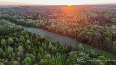 This 51+/- acre property in Hinds County offers a well-rounded - photo 6
