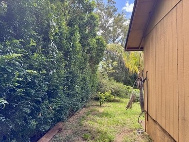 Home in Lower Kula on half-acre lot in a wonderful neighborhood - photo 11