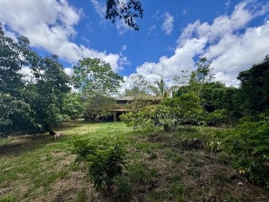Home in Lower Kula on half-acre lot in a wonderful neighborhood - photo 13