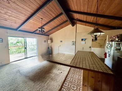 Home in Lower Kula on half-acre lot in a wonderful neighborhood - photo 14