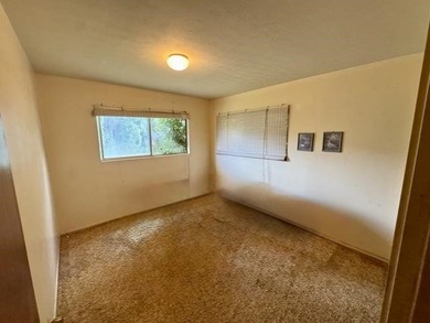 Home in Lower Kula on half-acre lot in a wonderful neighborhood - photo 16