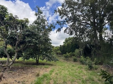 Home in Lower Kula on half-acre lot in a wonderful neighborhood - photo 22