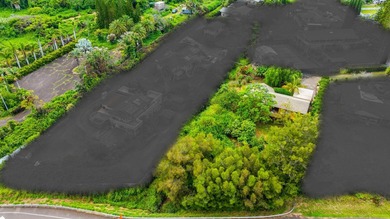 Home in Lower Kula on half-acre lot in a wonderful neighborhood - photo 24