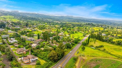 Home in Lower Kula on half-acre lot in a wonderful neighborhood - photo 25