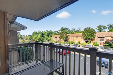Welcome to this beautifully one-bedroom, one-bath corner unit - photo 14