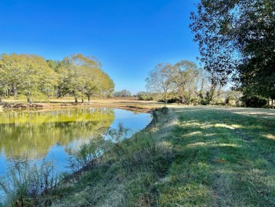 Lake Lot For Sale in Brundidge, Alabama