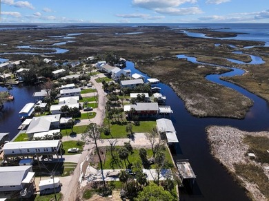 Waterfront Paradise in Suwannee, Florida! Discover two prime - photo 8