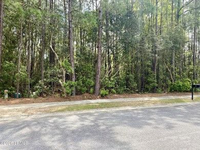 Live Oaks at Battery Creek. Buildable 1/4-acre lot near the - photo 10
