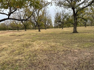 Lake Granbury Lot For Sale in Granbury Texas