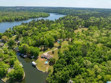 Rare opportunity on the Warrior River! This waterfront property - photo 41