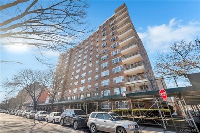 Spacious 1 Bedroom Apartment in a High-rise Co-op building - photo 2