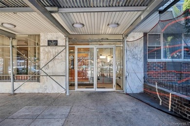 Spacious 1 Bedroom Apartment in a High-rise Co-op building - photo 3