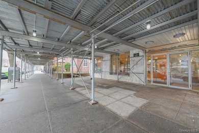 Spacious 1 Bedroom Apartment in a High-rise Co-op building - photo 4